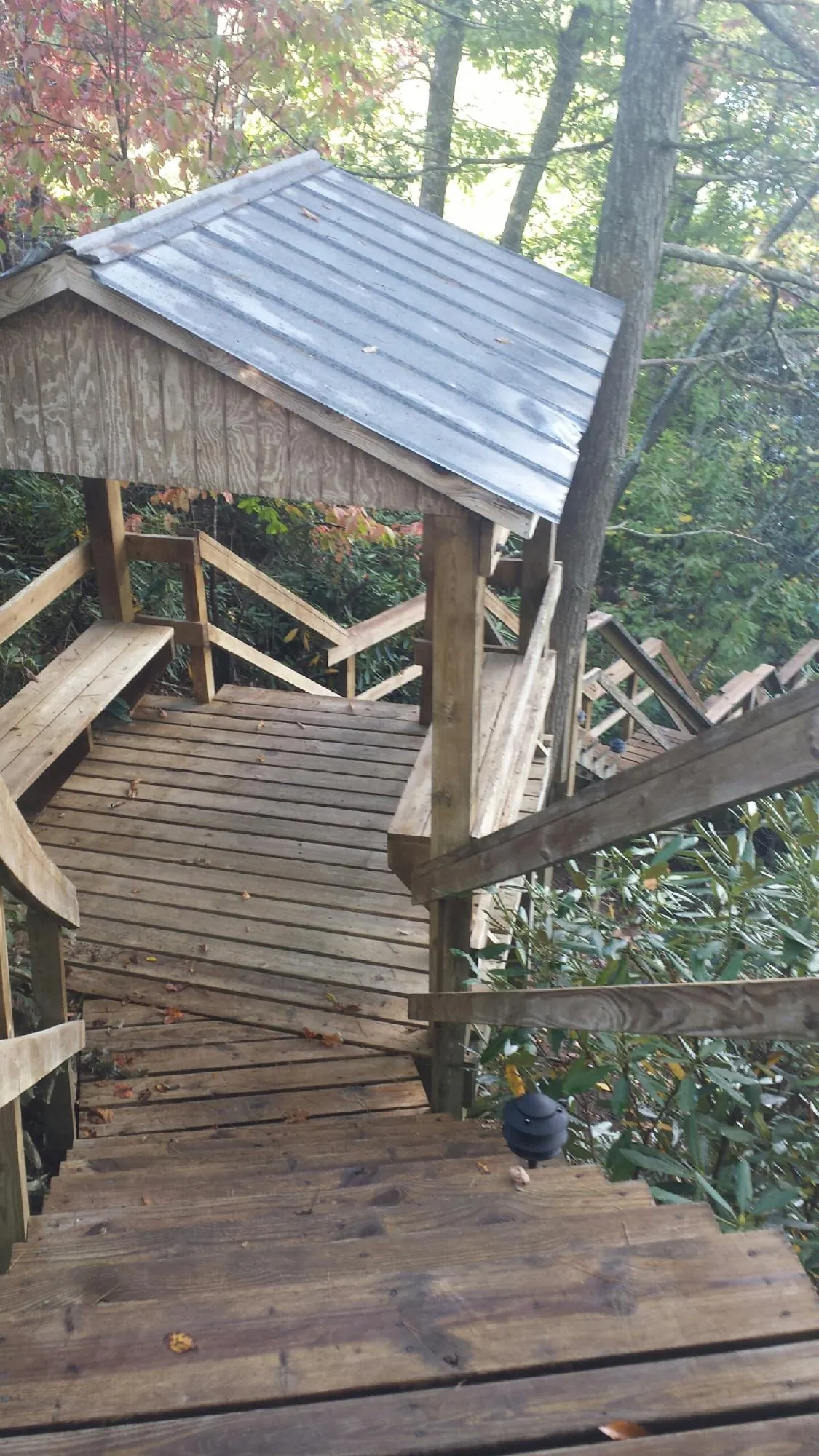 Metal roofed shelter over wooden steps on a wooded walkway — Skylight Repair & Installation work by our crew in Grand Bay