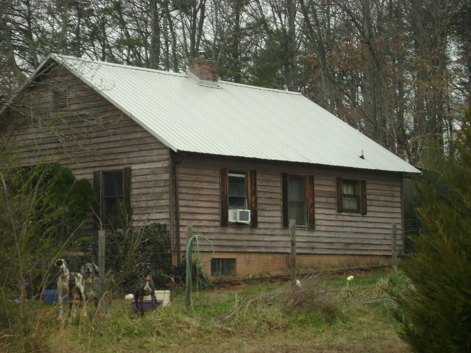 White metal roof on an old wood sided farmhouse, from a Asphalt Shingle Roof Repair job in Grand Bay